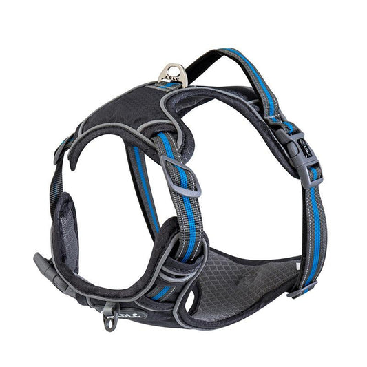 Explosive Red Adventure Dog Harness