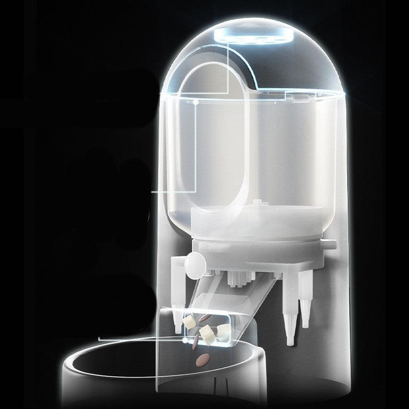 Intellifeed: Smart Stainless Steel Pet Feeder with App Control