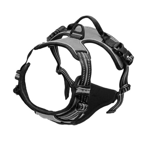 Explosive Red Adventure Dog Harness