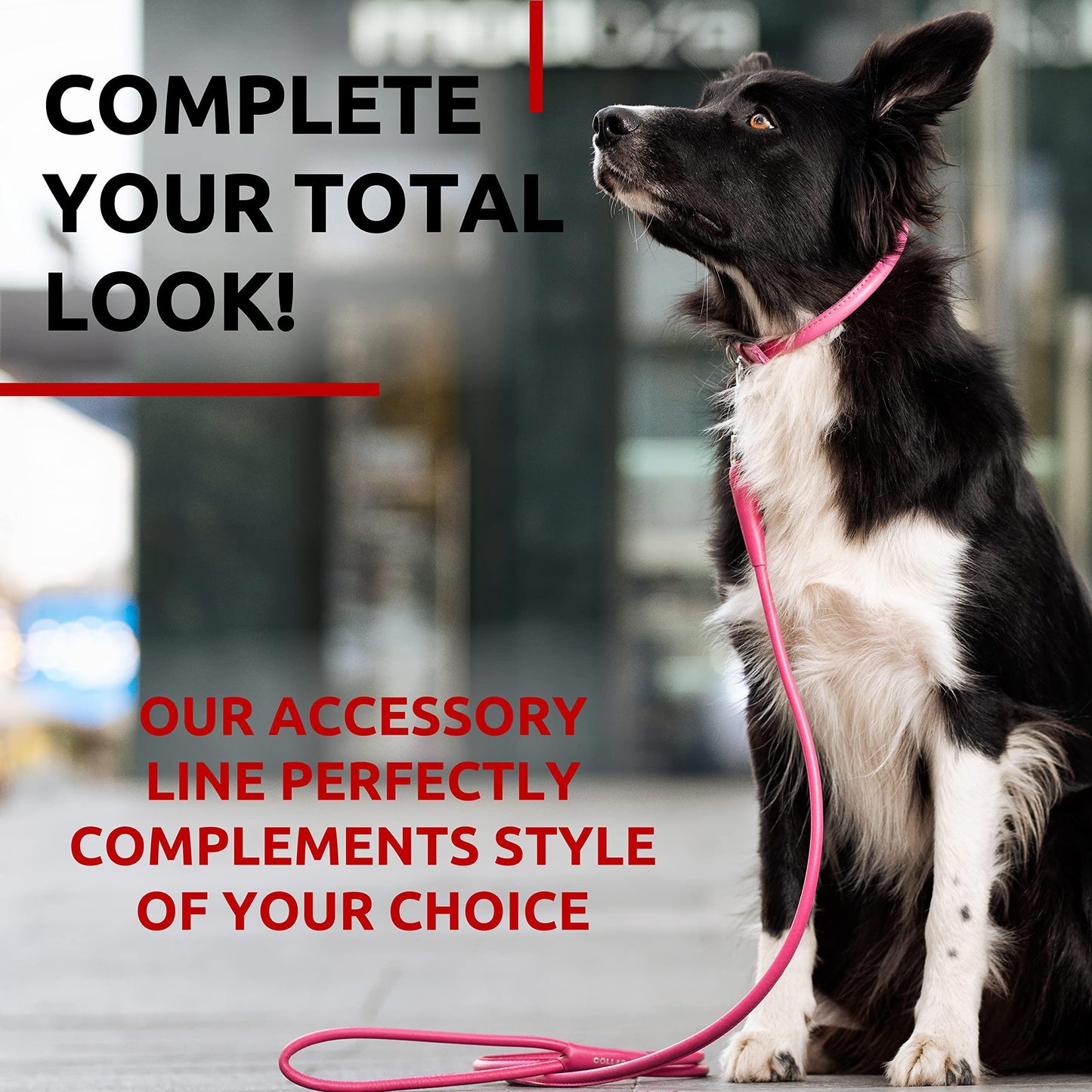 Rolled Leather Dog Leash 4Ft * 0.4in