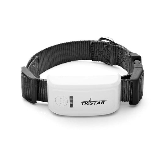 Pettrack Gps: The Ultimate Pet Locator Device