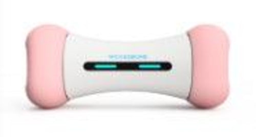 Introducing The Smart Chew Buddy