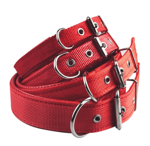 Foam Comfort Adjustable Pet Collar