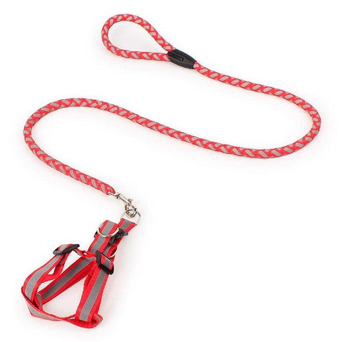 Night Glow Braided Traction Leash With Reflective Chest Strap