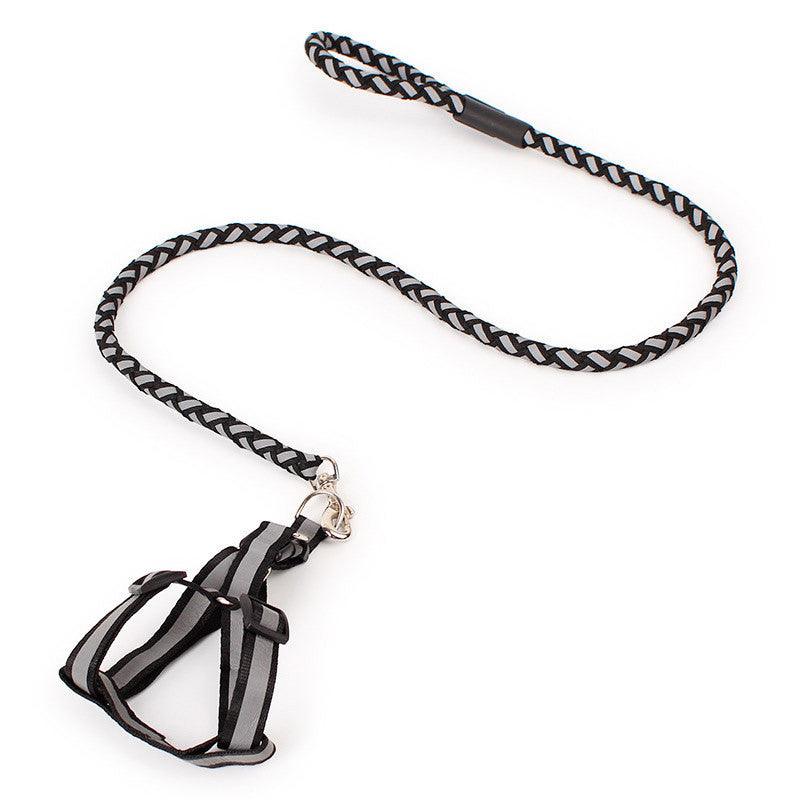 Night Glow Braided Traction Leash With Reflective Chest Strap
