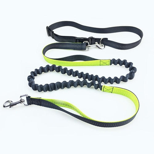 Freedom Dog Leash: The Perfect Companion For Active Dogs