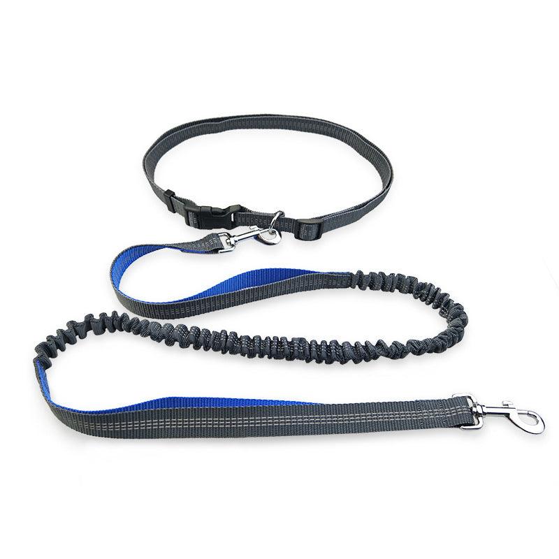 Freedom Dog Leash: The Perfect Companion For Active Dogs