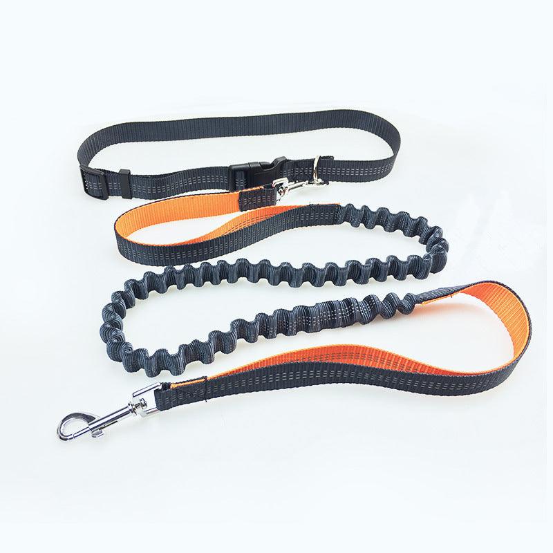 Freedom Dog Leash: The Perfect Companion For Active Dogs