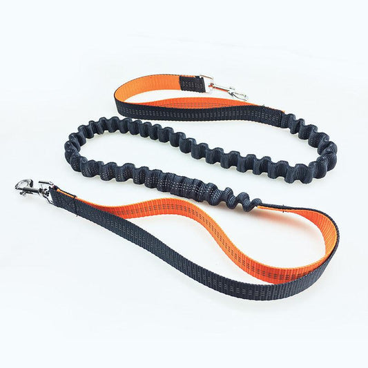 Freedom Dog Leash: The Perfect Companion For Active Dogs