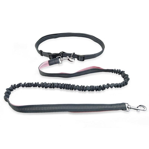 Freedom Dog Leash: The Perfect Companion For Active Dogs