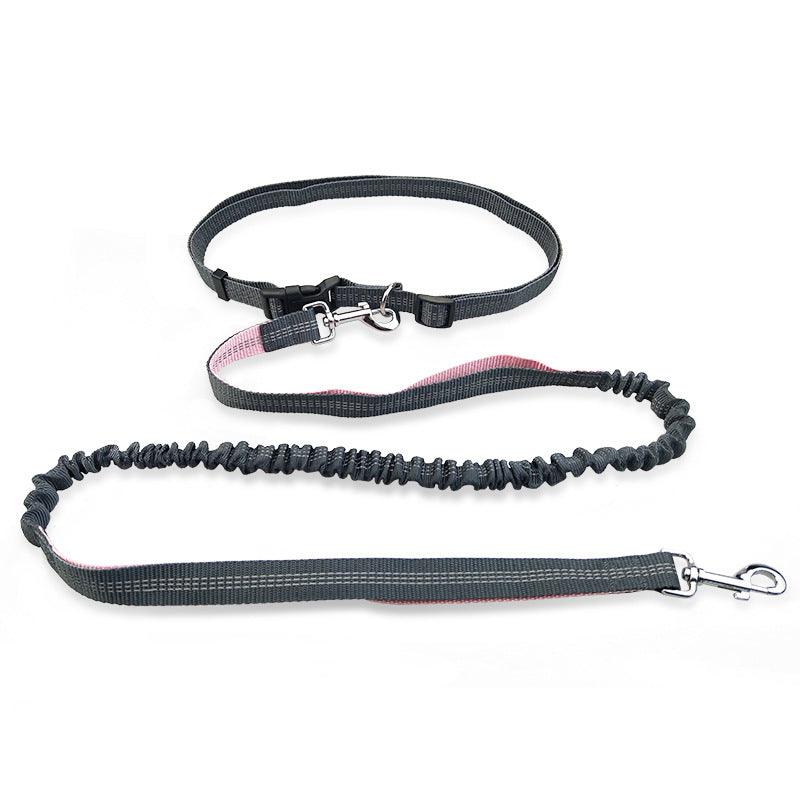 Freedom Dog Leash: The Perfect Companion For Active Dogs
