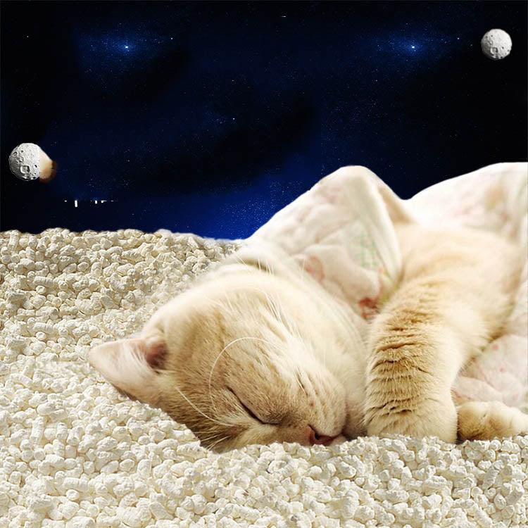 Tofu Fresh Scented Cat Litter – Fast Clumping, Odor Control, Eco-Friendly | The PetRiot