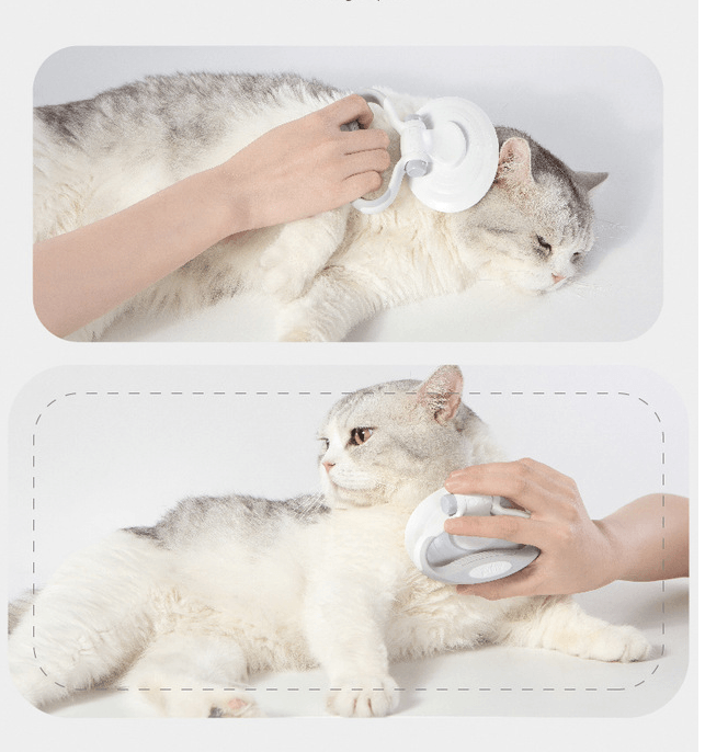 Furcare Pro: Self-Cleaning Wire Brush