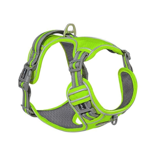 Explosive Red Adventure Dog Harness