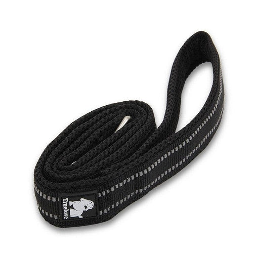 The Ultimate Stretchable Nylon Pet Dog Leash In Vibrant Colors