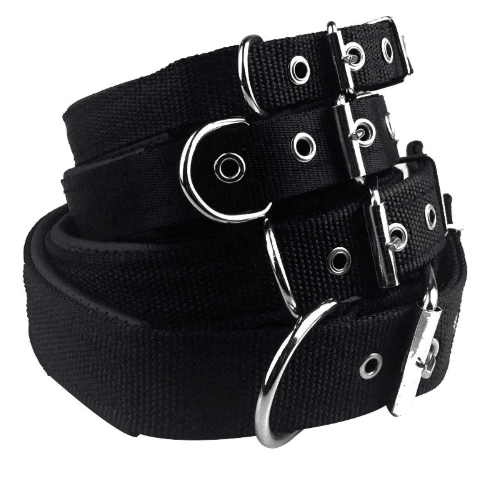 Foam Comfort Adjustable Pet Collar
