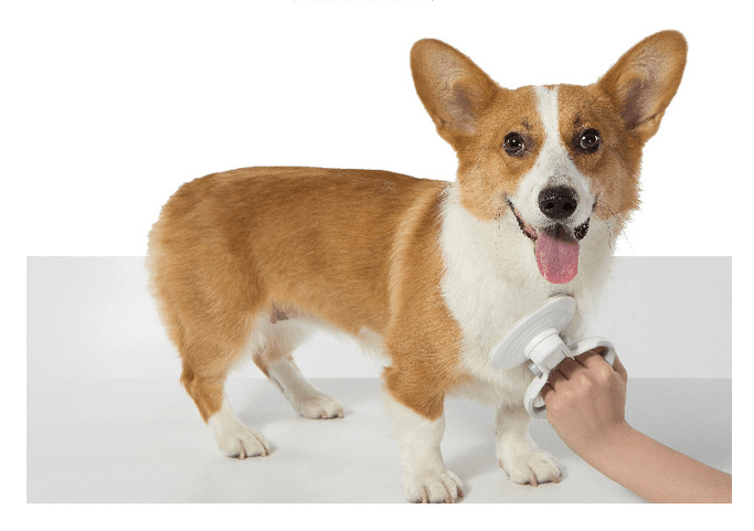 Furcare Pro: Self-Cleaning Wire Brush