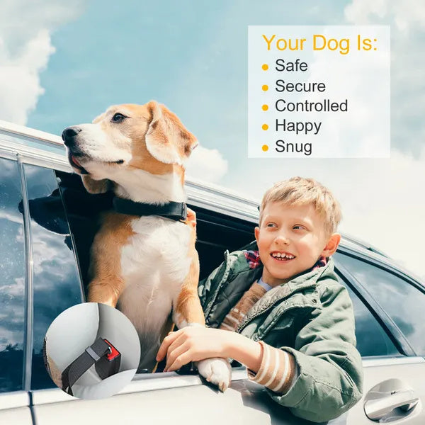 2Pcs Dog Seat Adjustable Belt Leash