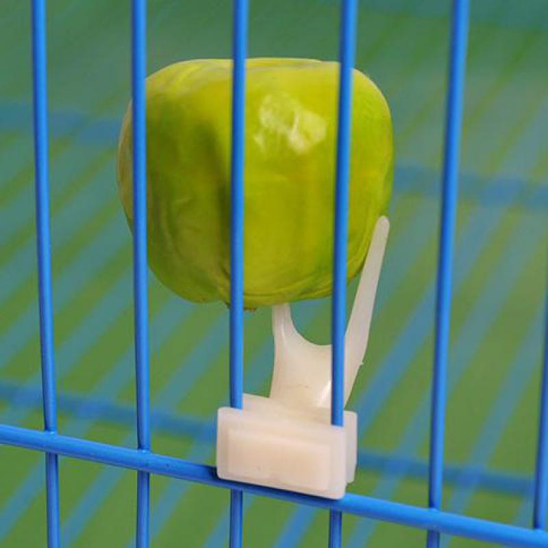 Pet Treat Delight - Bird Fruit Fork Set