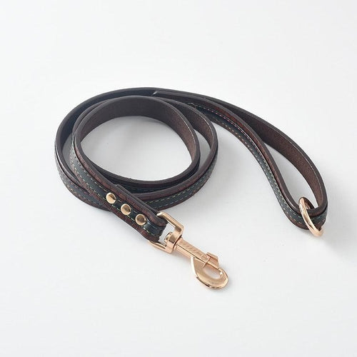 Ultimate Pet Walking Set: Stylish Pu Leash And Collar Combo
