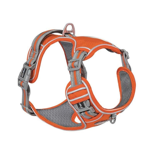 Explosive Red Adventure Dog Harness