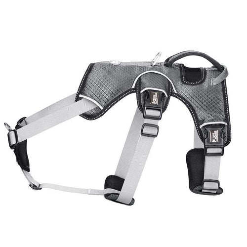Stylish Polyester Dog Harness