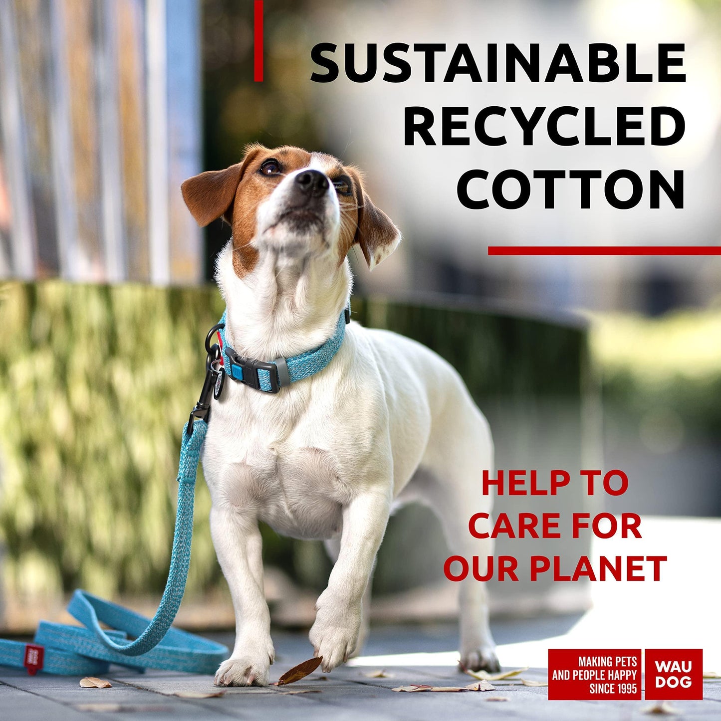 WAUDOG Recycled Cotton Dog Leash 6-10 Ft Eco Friendly