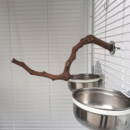 Natural Grape Wood Bird Perching Stick