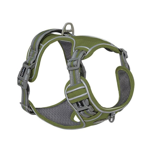 Explosive Red Adventure Dog Harness