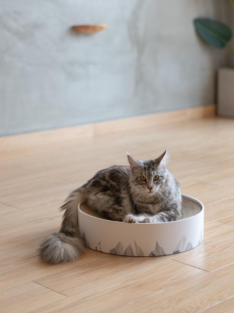 Valley Cat Scratch Haven: Premium Corrugated Cat Scratcher