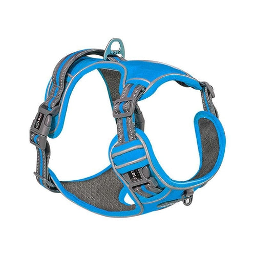 Explosive Red Adventure Dog Harness