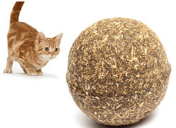 Minty Fun Catnip Ball Toy Set
