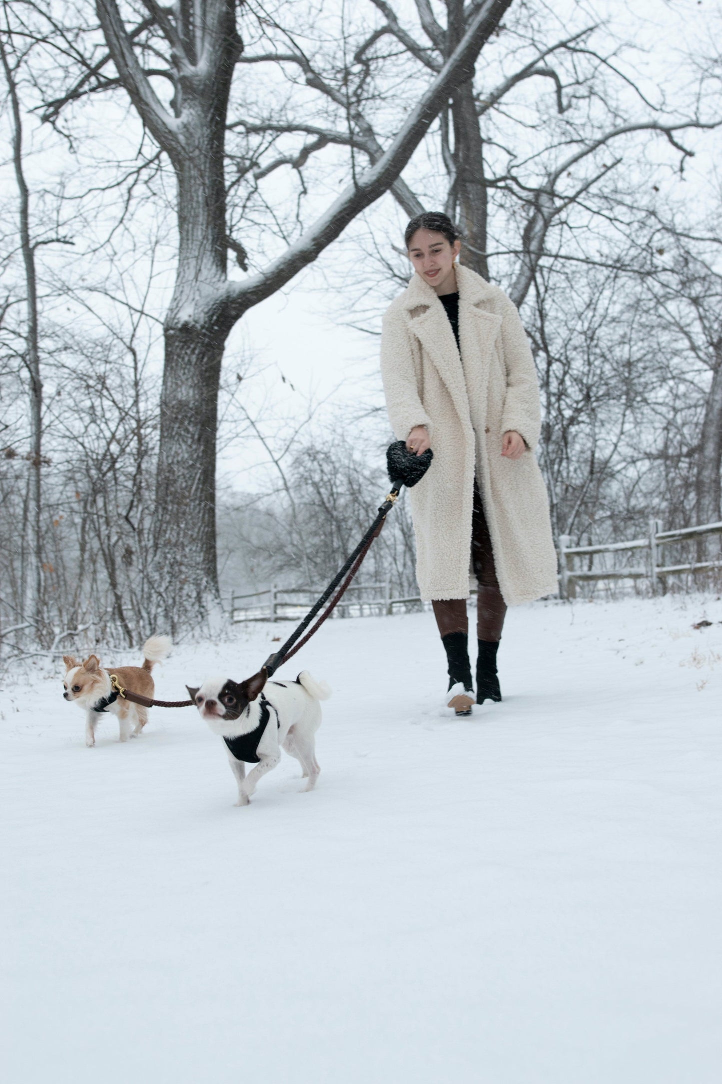 Bonne et Filou: Bundle Shearling Fur Grip + Rope Leash for Dogs