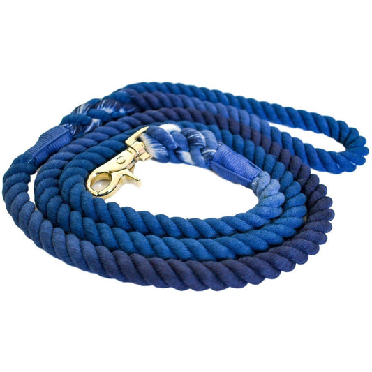 Blessed Blue - Dog Leash 5ft