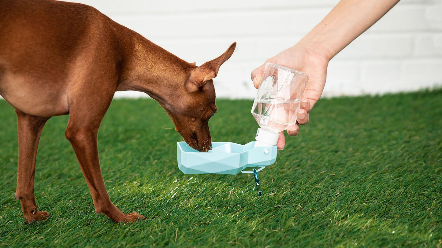 GF PET Water Foldout Bowl