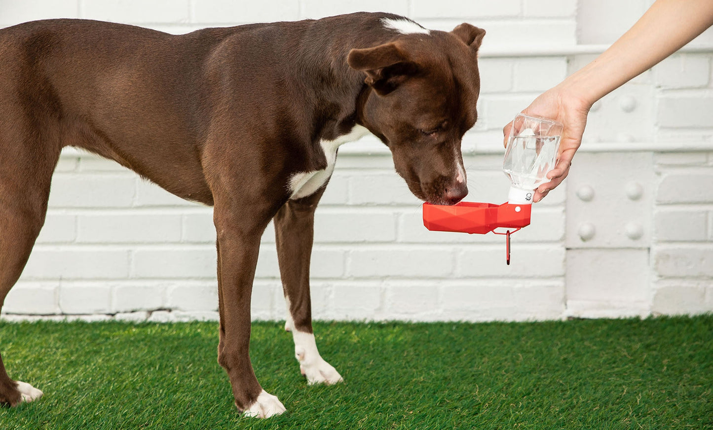 GF PET Water Foldout Bowl