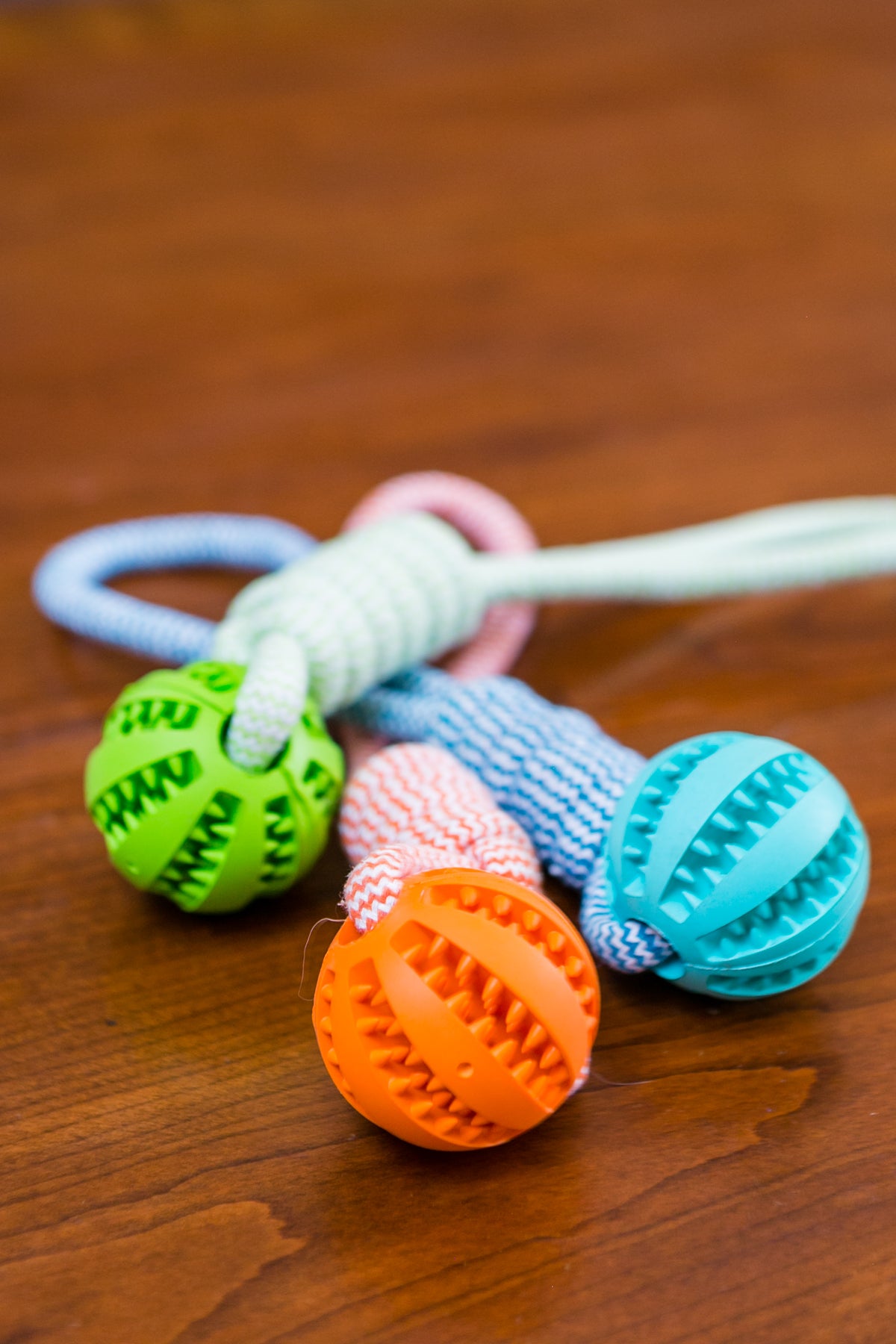 Interactive dog toy for dental health and play | The Pet Riot