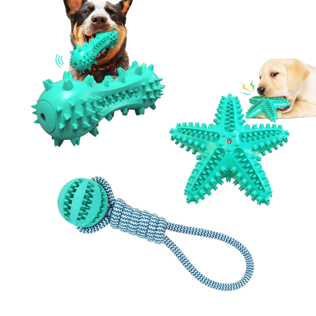 The Petriot 3 Pack Squeaky Toothbrush and Cotton Rope Ball Dog Toys for Dental Health and Play