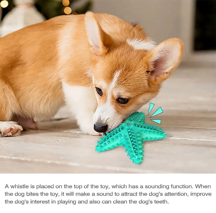 The Petriot 3 Pack Squeaky Toothbrush and Cotton Rope Ball Dog Toys for Dental Health and Play