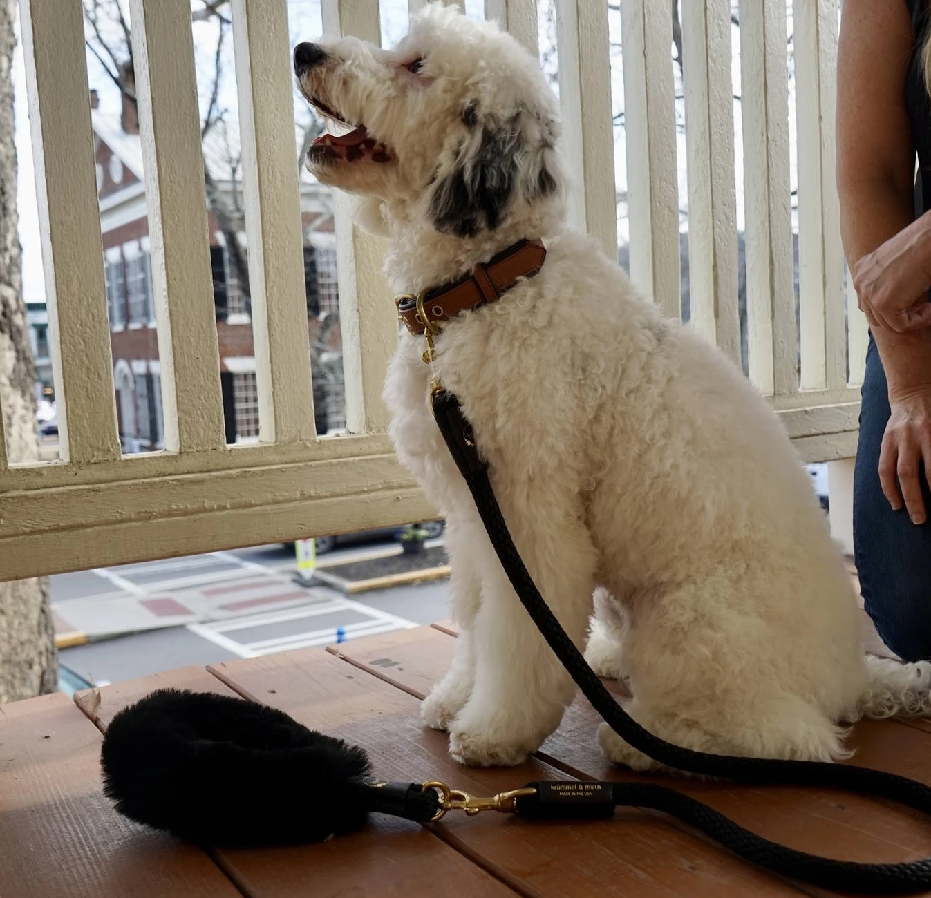 Bonne et Filou: Bundle Shearling Fur Grip + Rope Leash for Dogs