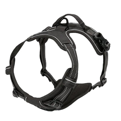 Explosive Red Adventure Dog Harness