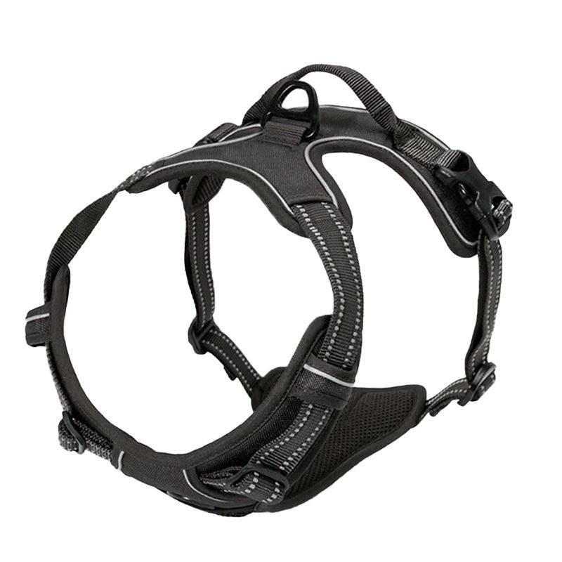 Explosive Red Adventure Dog Harness