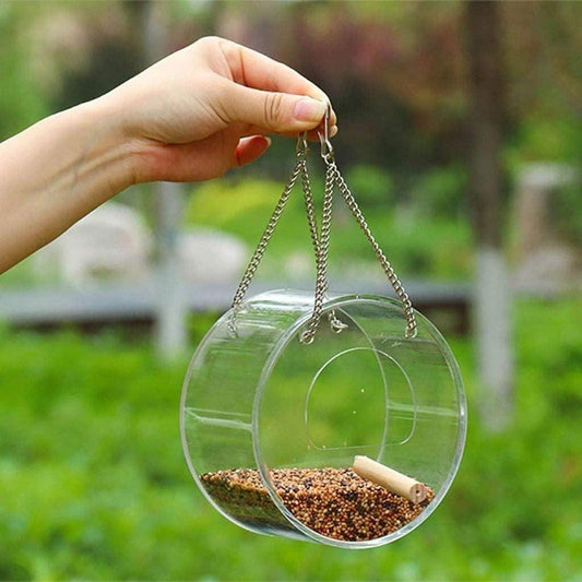 Birdie Buffet: Acrylic Seed Storage Delight
