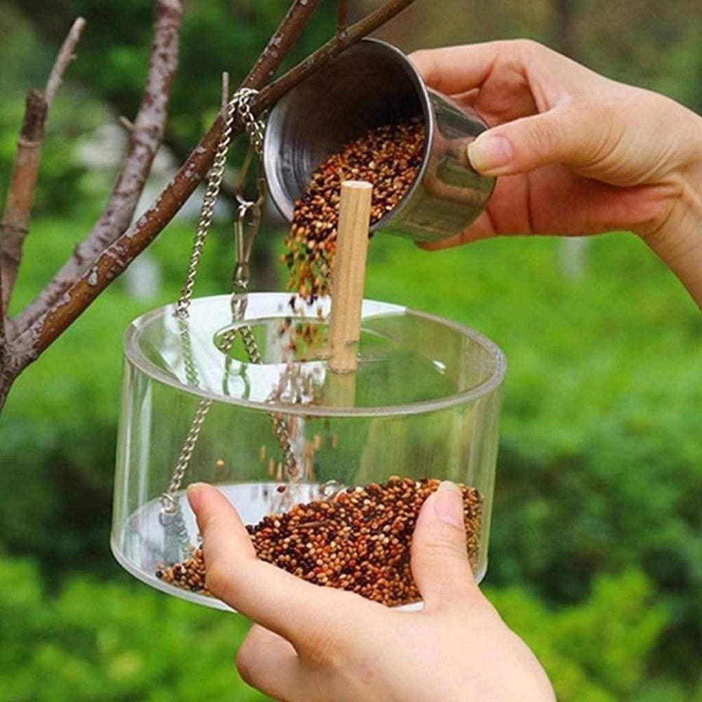 Birdie Buffet: Acrylic Seed Storage Delight