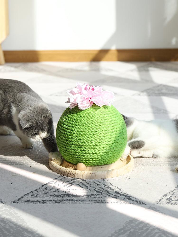 Cactus Paw-Purrfect Cat Grinding Toy