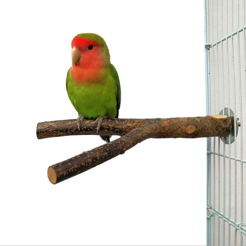 Rattan Ring Bird Cage Chewing Toy With Standing Frame