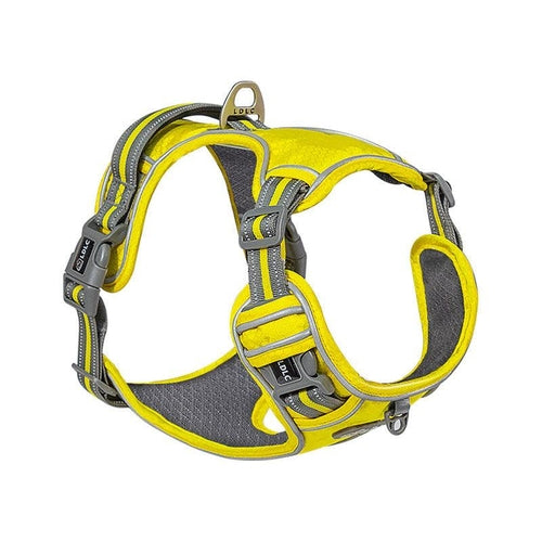 Explosive Red Adventure Dog Harness