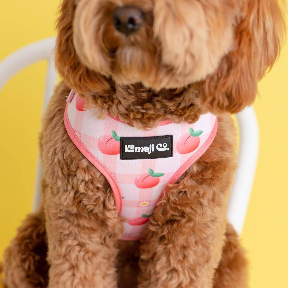 Precious Peach Collection - Adjustable Harness