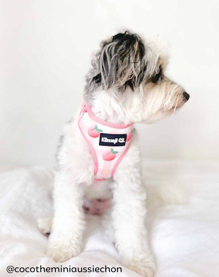 Precious Peach Collection - Adjustable Harness