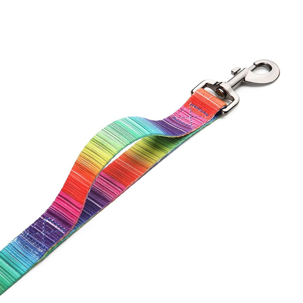 Rainbow Matching Leash & collars Set